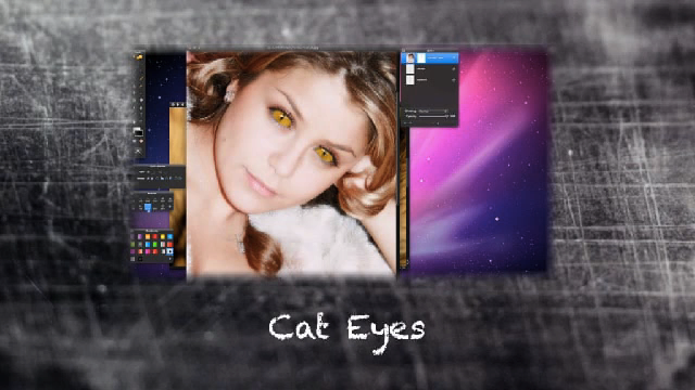 CatEyes_IMG
