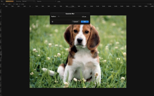 ImageExtract020