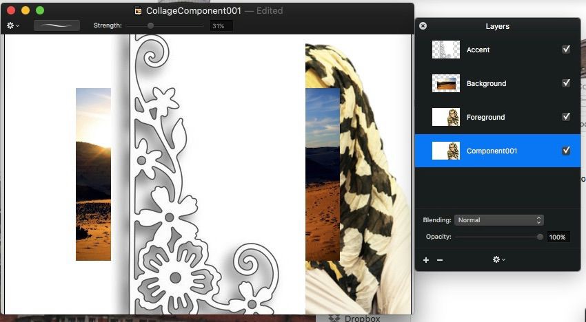 ImageExtract-005